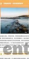 极速体育足球比分-极速体育足球比分，实时追踪，点燃绿茵激情